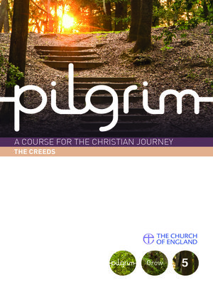 cover image of Pilgrim